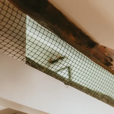 La Canopee Dijonnaise Confort Centre Daire *