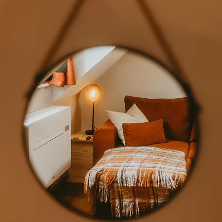 La Canopee Dijonnaise Confort Centre Daire Dijon