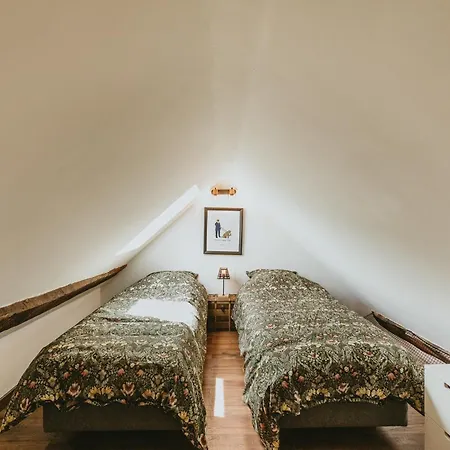 La Canopee Dijonnaise Confort Centre Daire