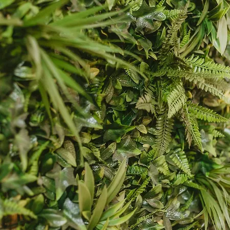 La Canopee Dijonnaise Confort Centre *