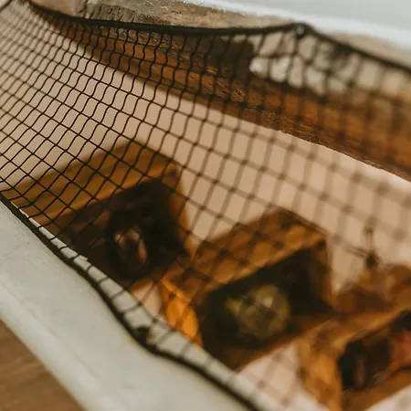 La Canopee Dijonnaise Confort Centre 디종