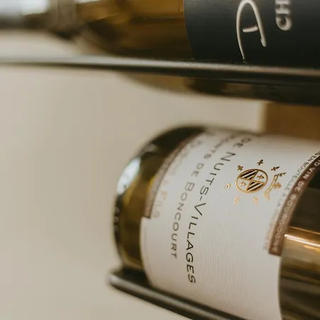 La Canopee Dijonnaise Confort Centre Daire *