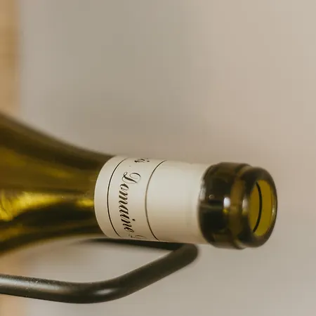 La Canopee Dijonnaise Confort Centre Daire *