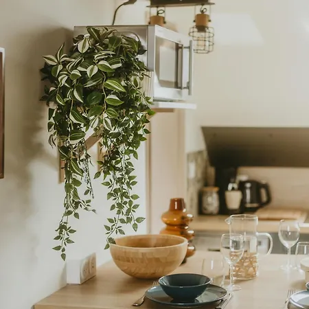 La Canopee Dijonnaise Confort Centre Daire Dijon