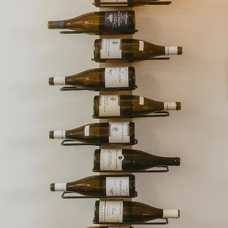 La Canopee Dijonnaise Confort Centre Daire *