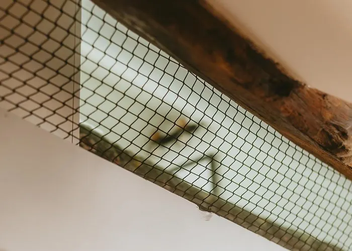 La Canopee Dijonnaise Confort Centre 公寓 *