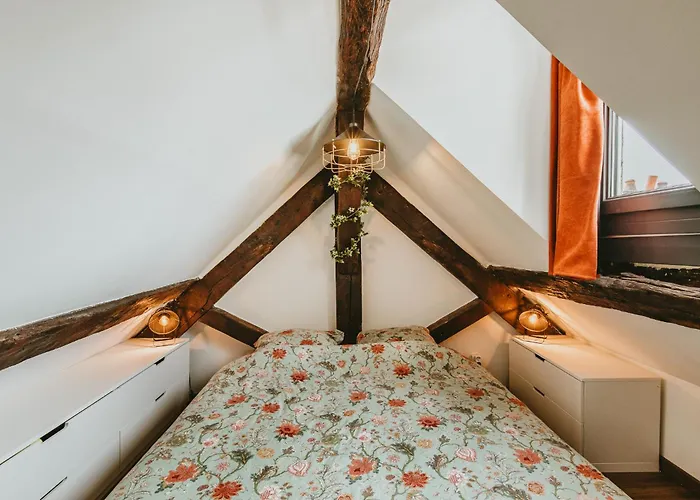 La Canopee Dijonnaise Confort Centre *