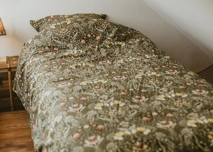 La Canopee Dijonnaise Confort Centre Dijon