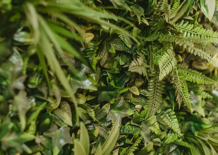 La Canopee Dijonnaise Confort Centre *