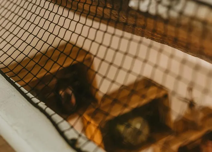 La Canopée Dijonnaise Confort Centre Dijon