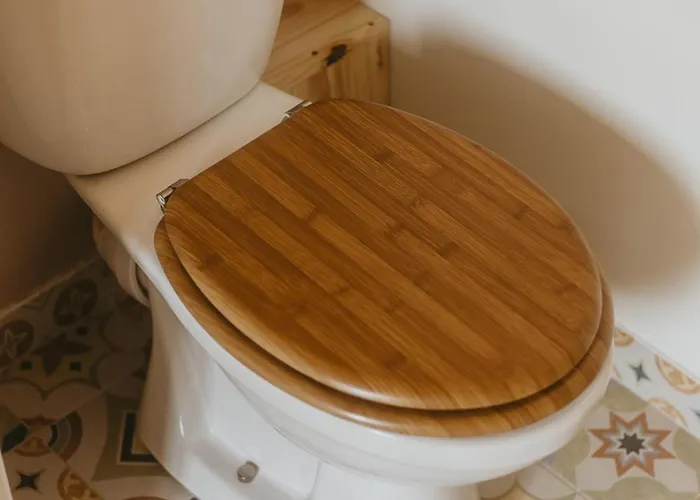 La Canopée Dijonnaise Confort Centre Dijon