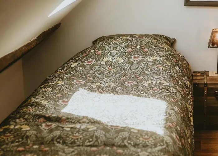 La Canopee Dijonnaise Confort Centre