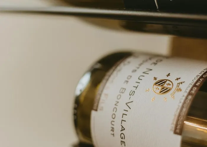 La Canopee Dijonnaise Confort Centre Apartment *