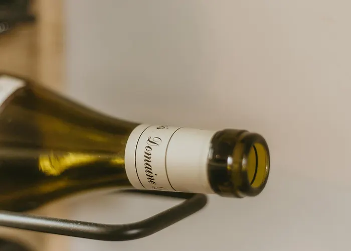 La Canopee Dijonnaise Confort Centre Apartment *