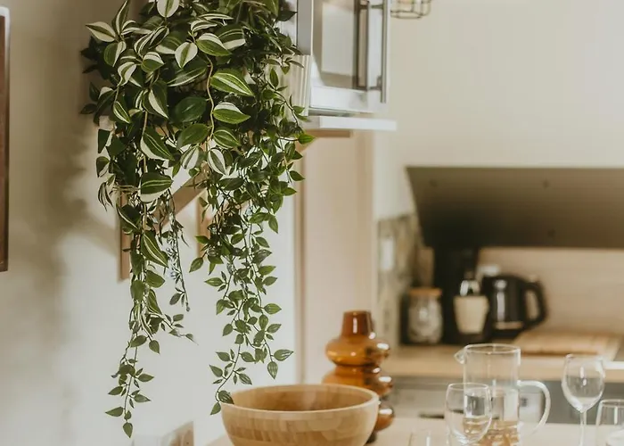 La Canopée Dijonnaise Confort Centre Appartement Dijon