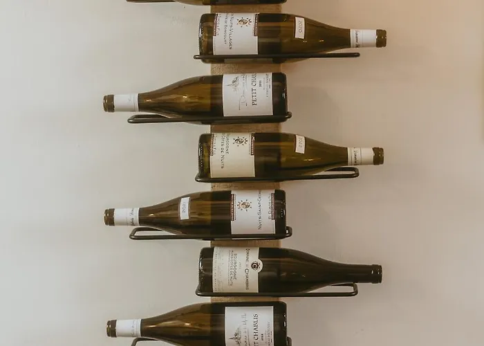 La Canopee Dijonnaise Confort Centre Apartment *