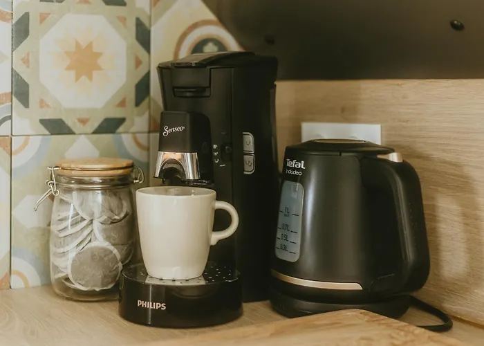 La Canopee Dijonnaise Confort Centre Apartment *