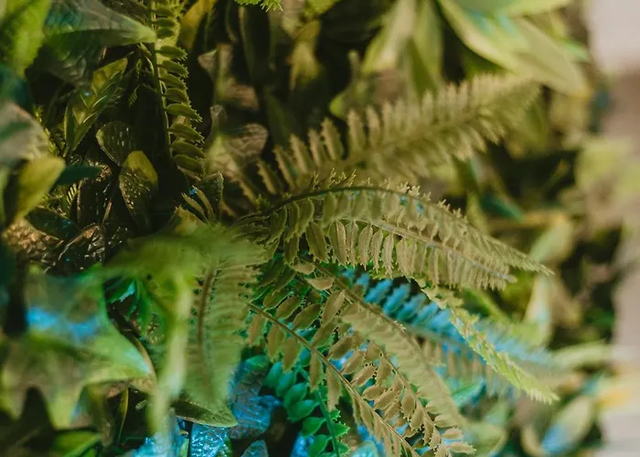 La Canopee Dijonnaise Confort Centre